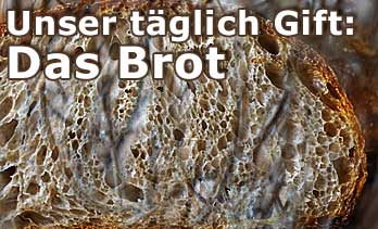 Brot