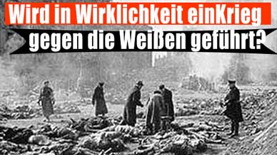 Impfstoff Todesbericht Impfstoff Todesbericht